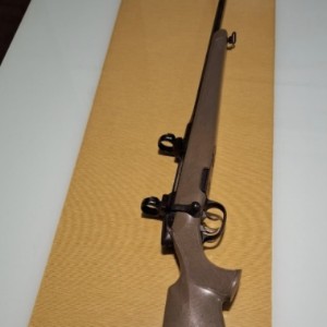 Steyr 6,5x65
