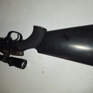 Steyr ssg 69 308win