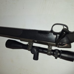 Steyr ssg 69 308win