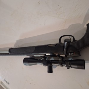 Steyr ssg 69 308win