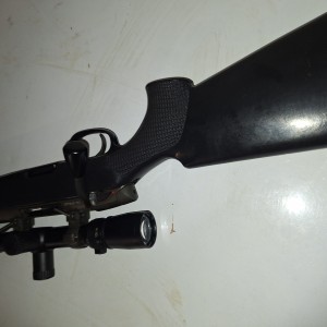 Steyr ssg 69 308win
