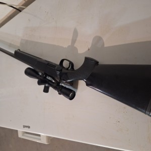 Steyr ssg 69 308win