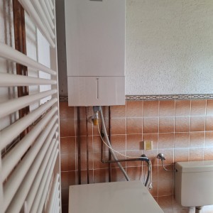 Kuća: Bošnjaci, 100.00 m2, zgrada, garaža, dvorište i oranica 3156m2