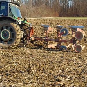 Plug Krone Mustang