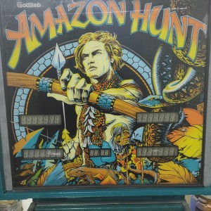 HITNO-2200e-Fliper Gotlieb Amazon Hunt, uređen i spreman za igru !