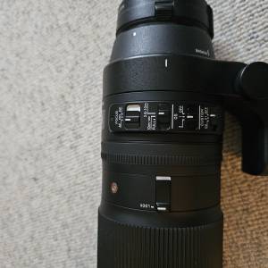 Canon EOS RP i Sigma 150-600 DG OS HSM