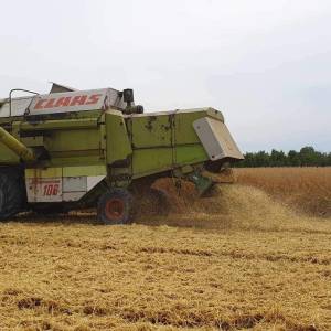 Claas dominator