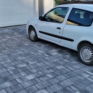 Clio