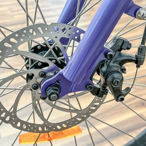 E bike,novi zapakirani,850 eura