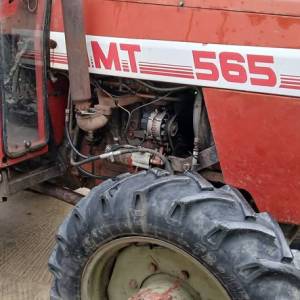 IMT 565DV