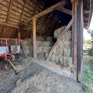 Kockaste bale sijena