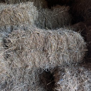 Kockaste bale sijena