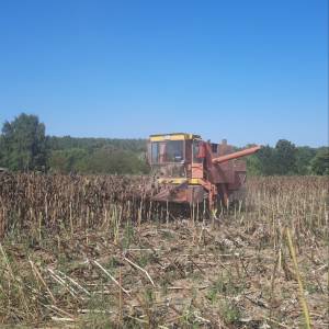 Kombajn Zmaj 142,registriran 07.2025