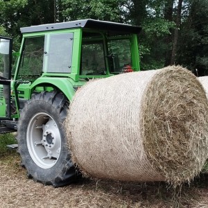 Nosać za bale