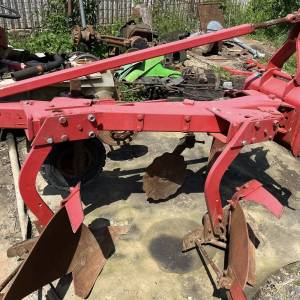 Plug vogel noot  12-18coli