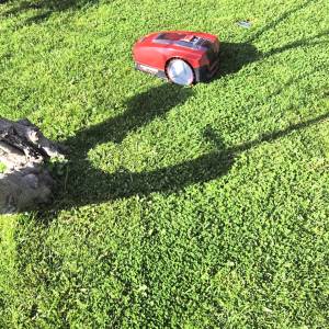 Robotska kosilica EINHELL FREELEXO 350