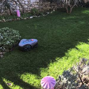 Robotska kosilica GARDENA SILENO 250
