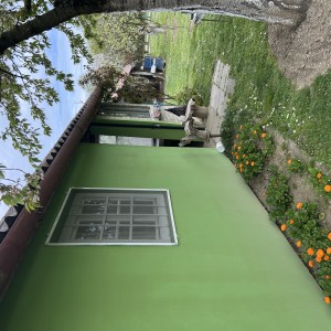 Salaš s vikendicom