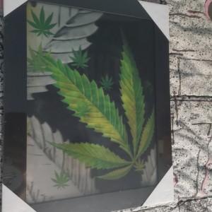 Slika 3D - 3 slike ,Lubanja , trava, , Blunts Roses ,Novo !