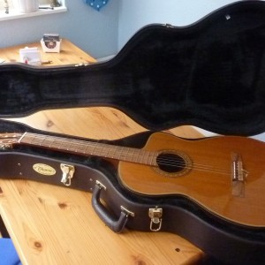 Takamine TC132SC
