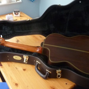 Takamine TC132SC