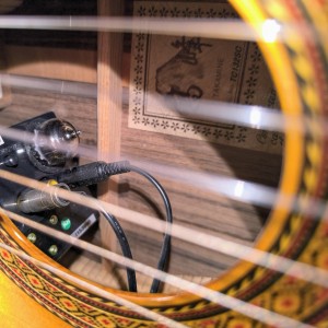 Takamine TC132SC