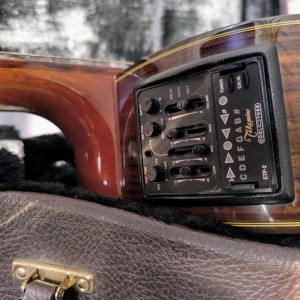 Takamine TC132SC