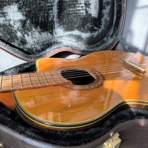 Takamine TC132SC