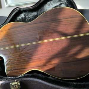Takamine TC132SC