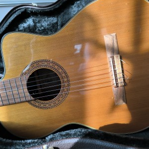 Takamine TC132SC