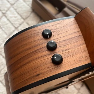 Taylor 114e Grand Auditorium orah