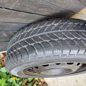 ZIMSKE GUME SAVA ESKIMO S3+ 175/65/14