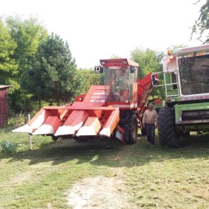 Bourgoin GX406-AXE