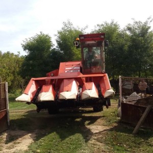 Bourgoin GX406-AXE