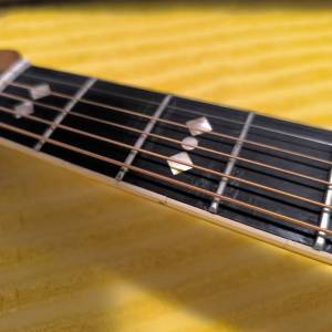 Ovation custom legend 1669
