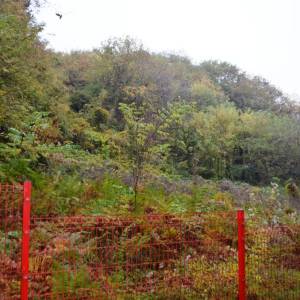 Podsljeme-Šestinski vrh 5.730 m2-građevinska parcela-izlaz na 2 strane