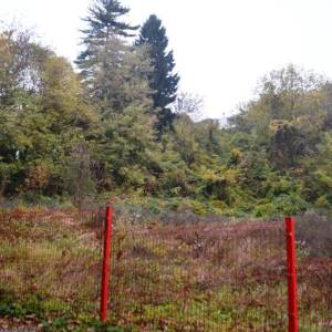 Podsljeme-Šestinski vrh 5.730 m2-građevinska parcela-izlaz na 2 strane
