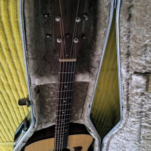 Taylor 110e gitara