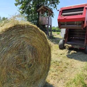 Rolo balirka Welger RP 302 Profy