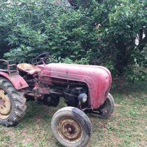 Traktor porsche kupujem