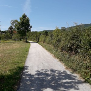 Korenica građevinsko zemljište 8.000m2