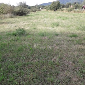 Korenica građevinsko zemljište 8.000m2