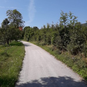 Korenica građevinsko zemljište 8.000m2