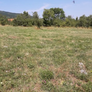 Korenica građevinsko zemljište 8.000m2