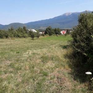 Korenica građevinsko zemljište 8.000m2