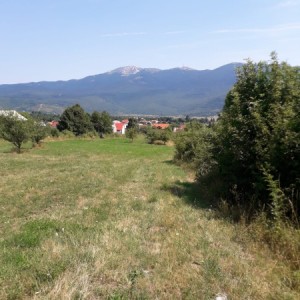 Korenica građevinsko zemljište 8.000m2