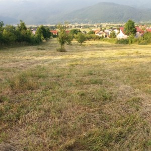 Korenica građevinsko zemljište 8.000m2