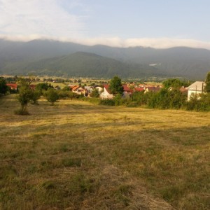 Korenica građevinsko zemljište 8.000m2
