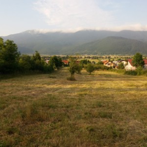 Korenica građevinsko zemljište 8.000m2