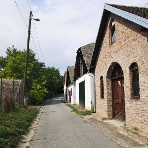 Prodajem podrum u Zmajevcu